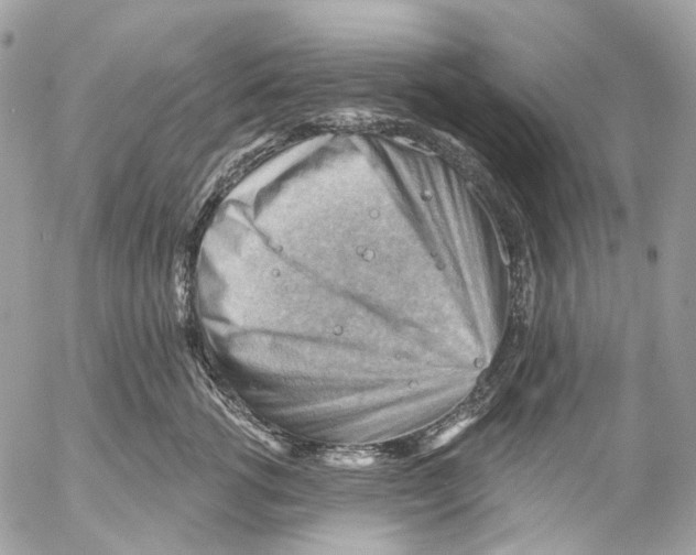 X0000053080762200508081245