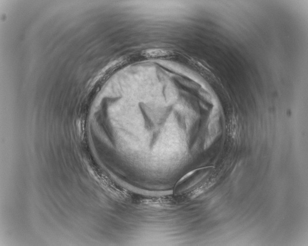 X0000053080763200508081245