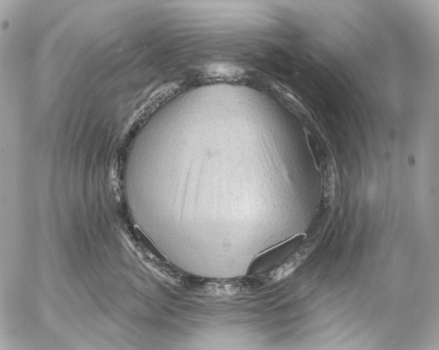 X0000053080764200508081245