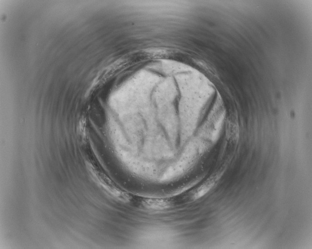 X0000053080766200508081245