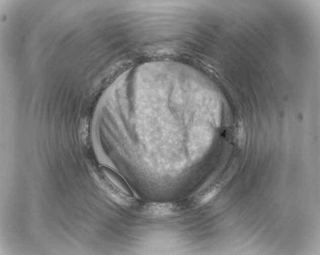 X0000053080767200508081245