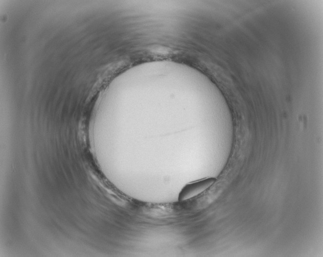 X0000053080768200508081245