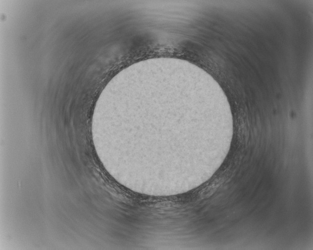 X0000053080769200508081244