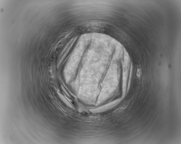 X0000053080771200508081244