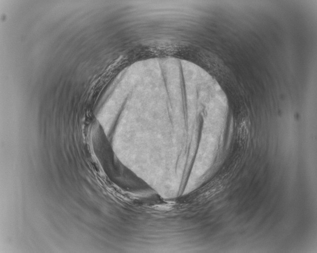 X0000053080772200508081244