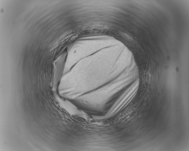 X0000053080774200508081244