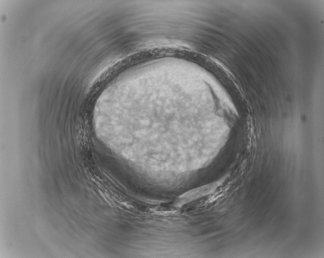 X0000053080775200508081244