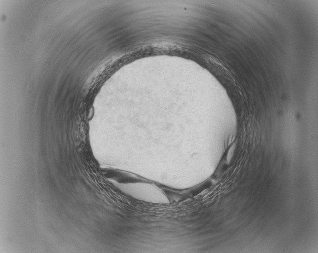 X0000053080776200508081244