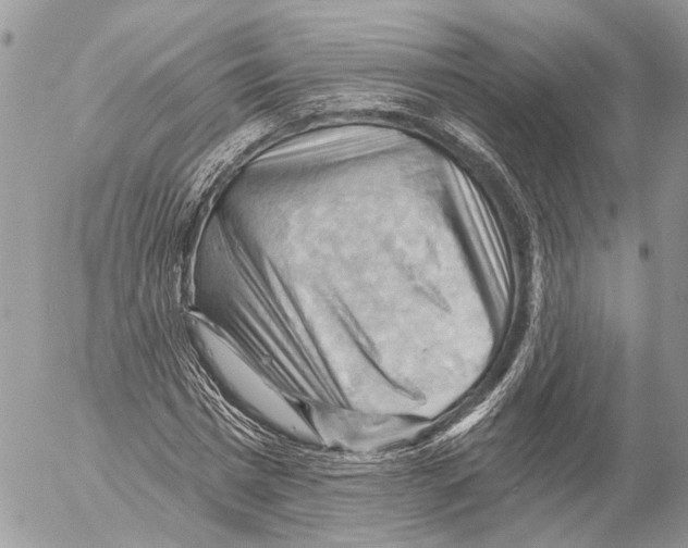 X0000053080777200508081244