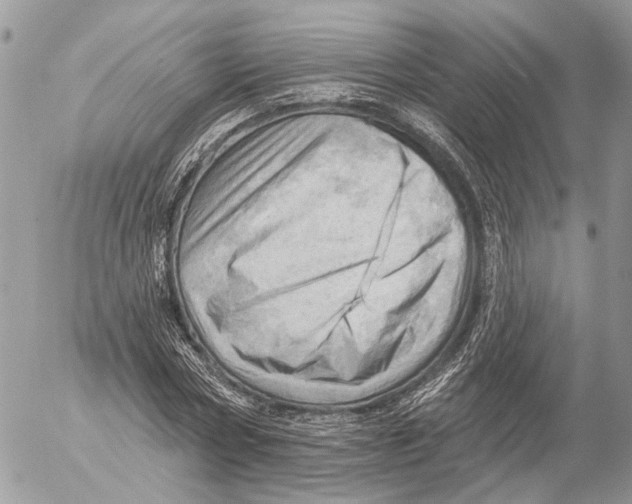 X0000053080778200508081244