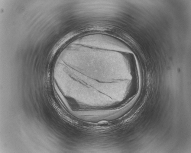 X0000053080779200508081244