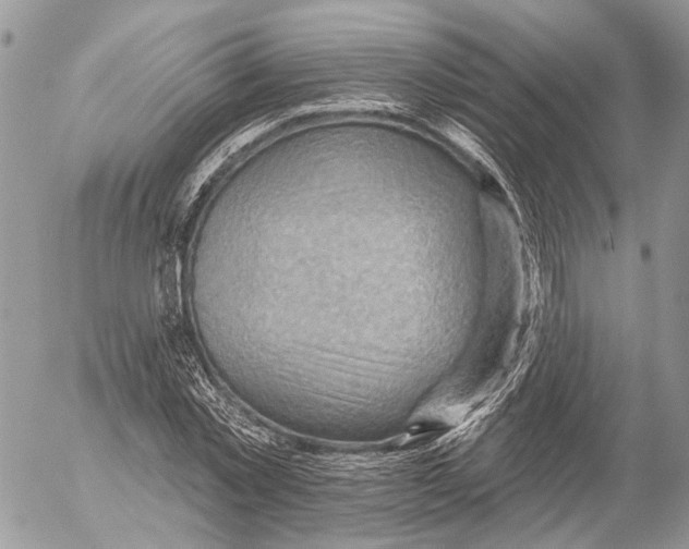 X0000053080781200508081244