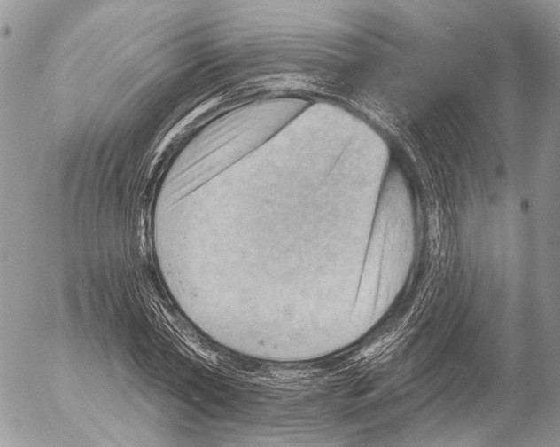 X0000053080782200508081244