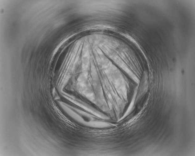 X0000053080783200508081244