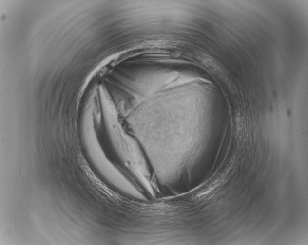 X0000053080784200508081244