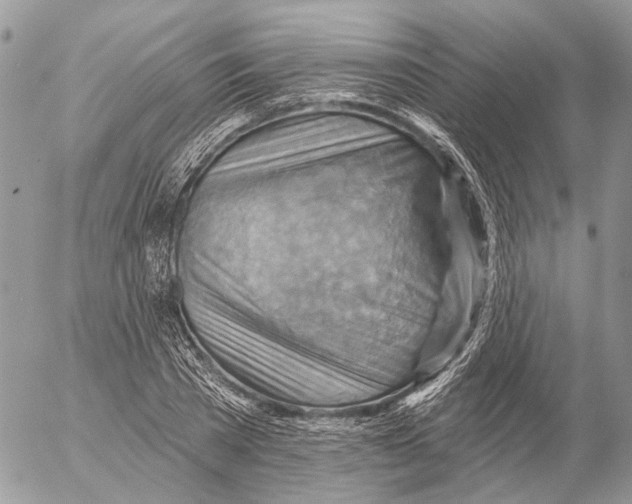 X0000053080785200508081244