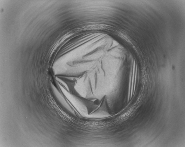 X0000053080786200508081244