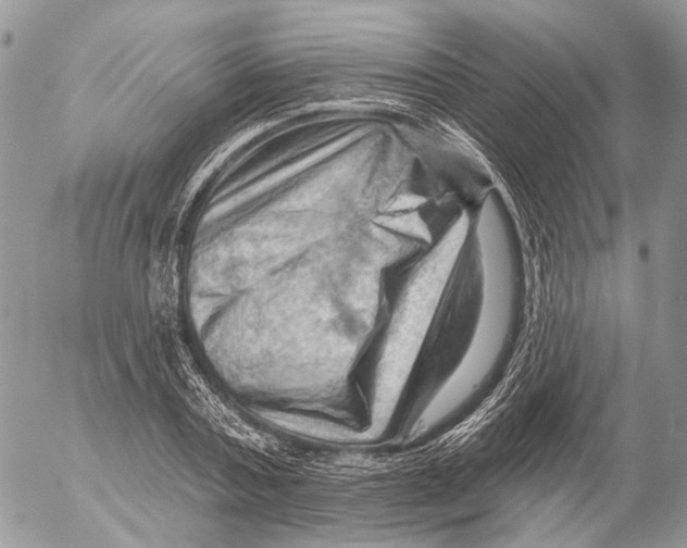 X0000053080787200508081244