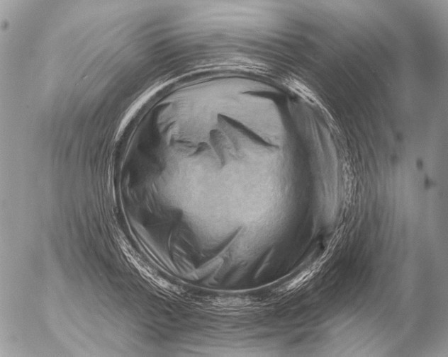 X0000053080788200508081244