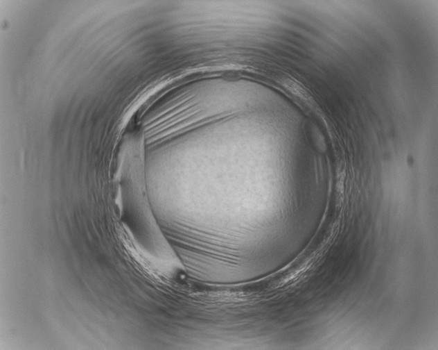 X0000053080789200508081244