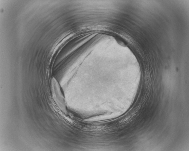 X0000053080790200508081244