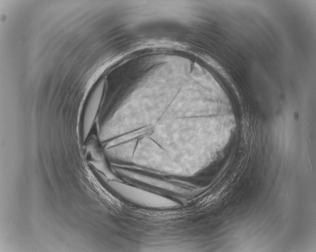 X0000053080791200508081244