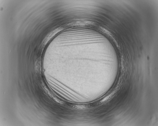 X0000053080794200508081244