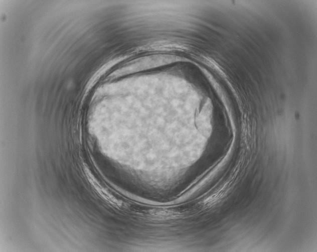 X0000053080795200508081244