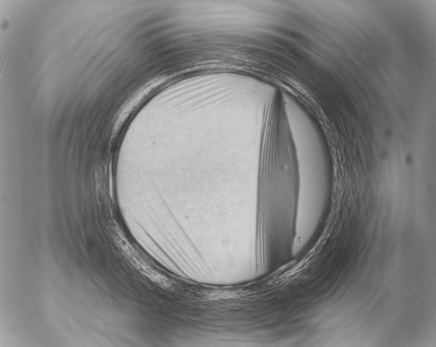 X0000053080796200508081244