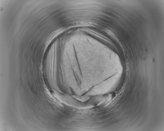 X0000053080797200508081244