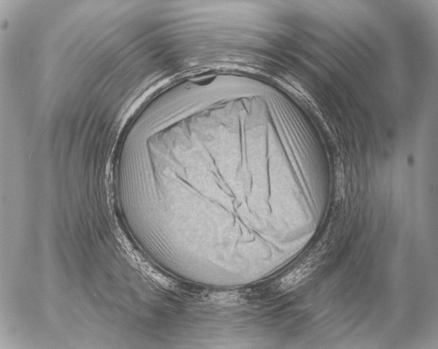 X0000053080798200508081244