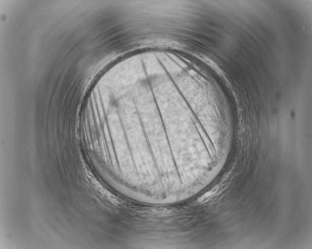 X0000053080799200508081244