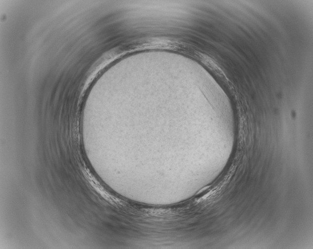 X0000053080800200508081244