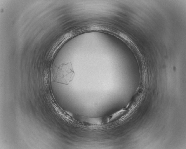 X0000053080801200508081244