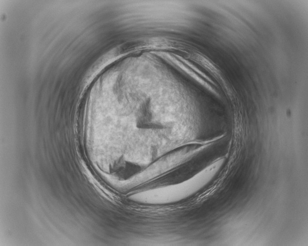 X0000053080803200508081244