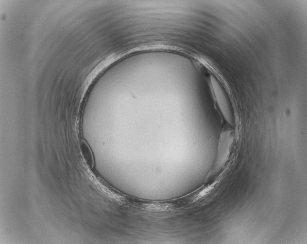 X0000053080805200508081244