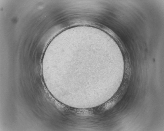 X0000053080807200508081244