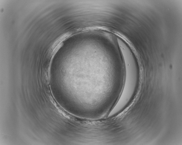 X0000053080809200508081244