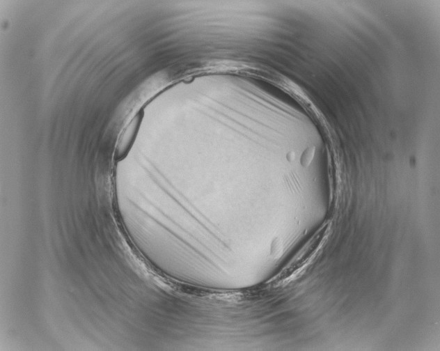 X0000053080810200508081244