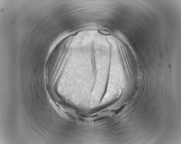 X0000053080811200508081244