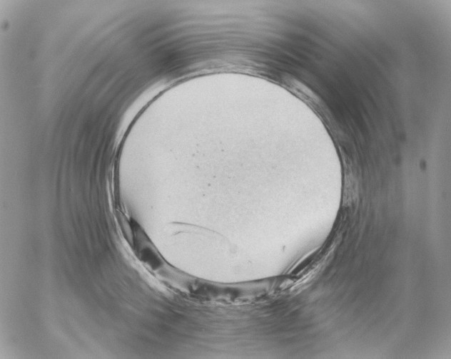 X0000053080812200508081244