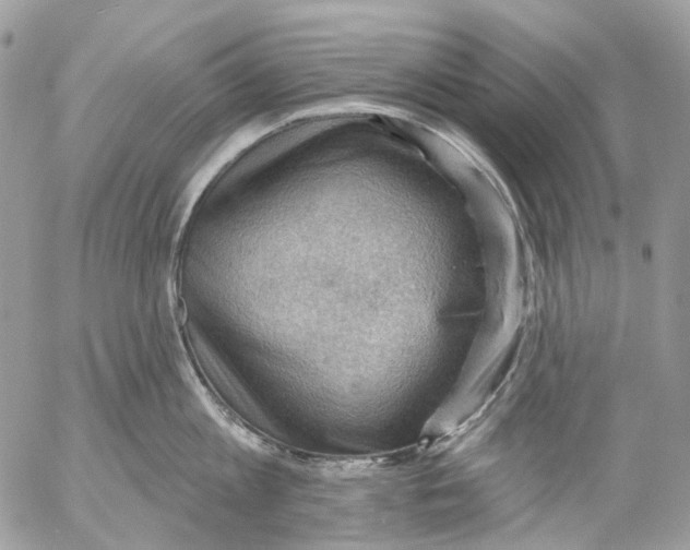 X0000053080813200508081244