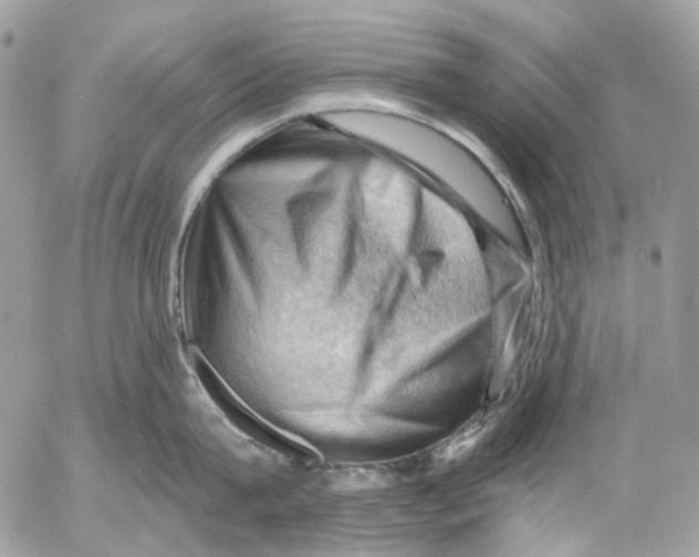 X0000053080815200508081244