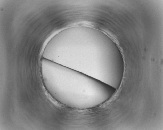 X0000053080816200508081243