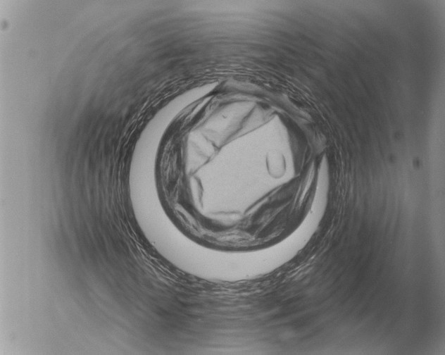 X0000053080818200508081243