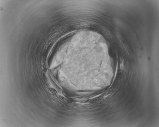 X0000053080819200508081243