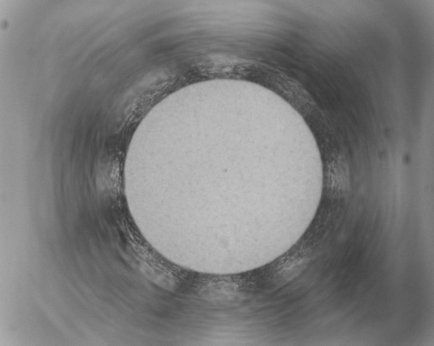 X0000053080820200508081243