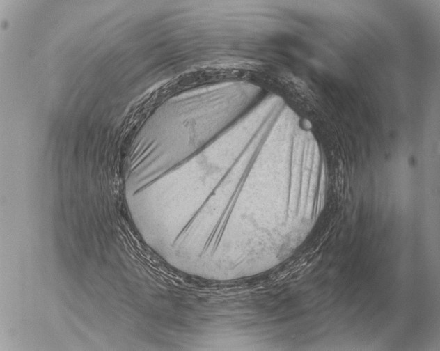 X0000053080821200508081243