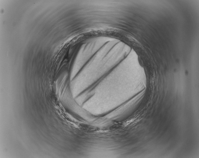 X0000053080822200508081243