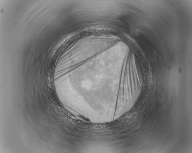 X0000053080823200508081243